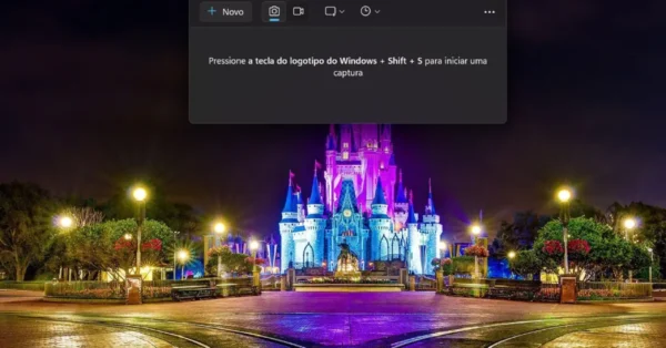 Captura de Tela da Windows