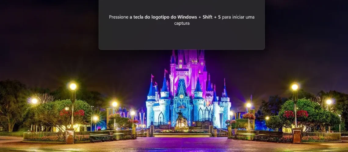 Captura de Tela da Windows